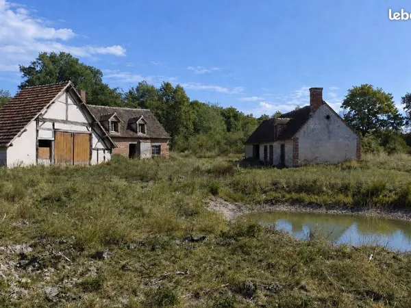 Authentique Fermette Solognote à rénover sur un territoire d'environ 8 hectares DF-2020-S