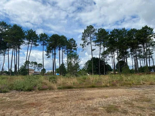Terrain Rion Des Landes 1125 m2