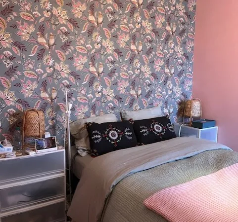 Loue appartement 2 mois