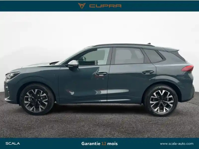 Cupra Terramar 1.5 ehybrid 204 ch dsg6 — photo 2