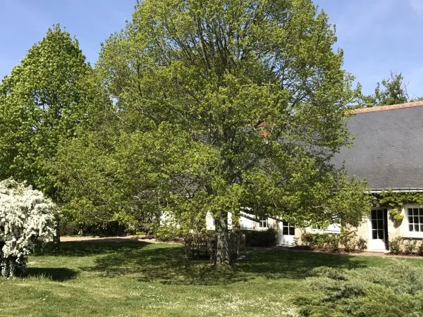 Vends maison de caractère avec piscine