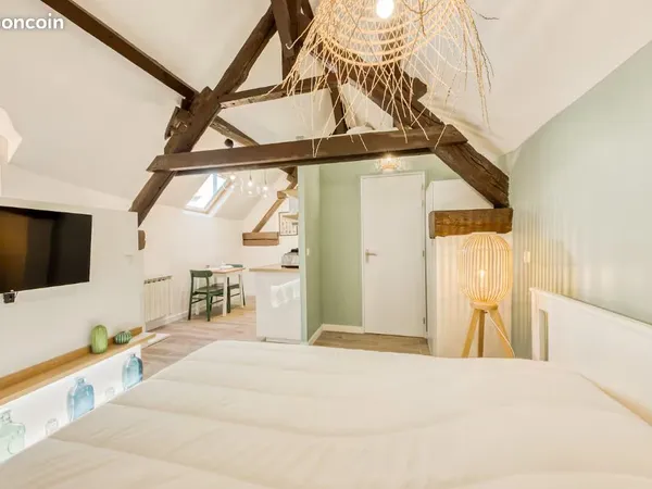 Superbe Une Pièce calme renovée
