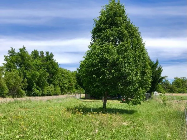 Jardin / terrain 1000 m2
