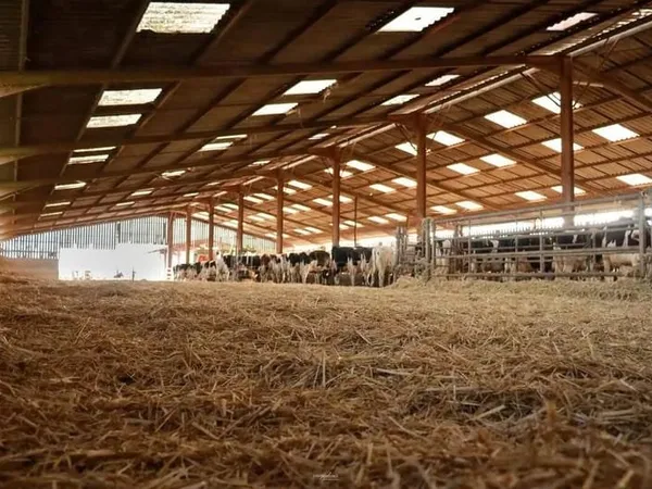 Bien agricole et foncier Vente Fresnes-en-Woëvre   1900000€