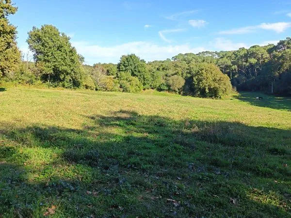 Terrain de 2 ha
