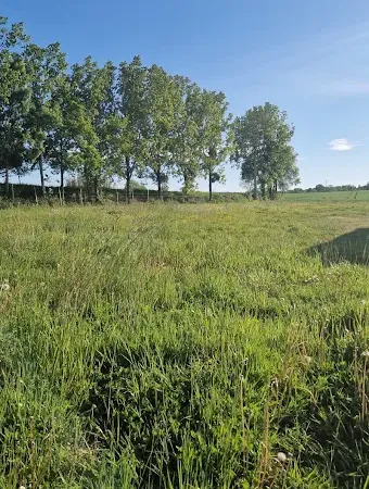 Terrain 526 m²