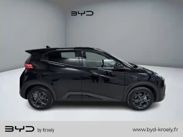 Byd Dolphin surf comfort 115 kw — photo 6