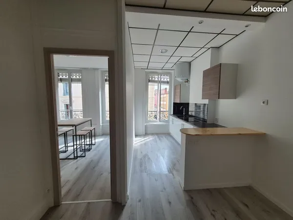 Appartement T1 bis - 36m2 - Lyon 7e (Saint André) - Refait à neuf