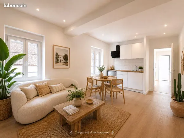 Appartement T2 entièrement rénové - Cuisine équipée -Villeneuve-l'Archevêque