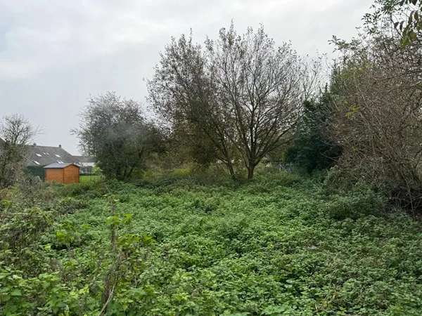 Terrain 807 m²