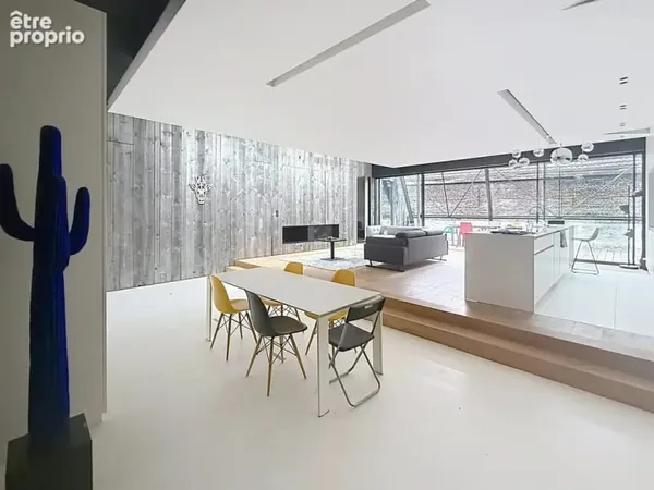 Vieux-lille immeuble d'exception loft, locaux & stationnements