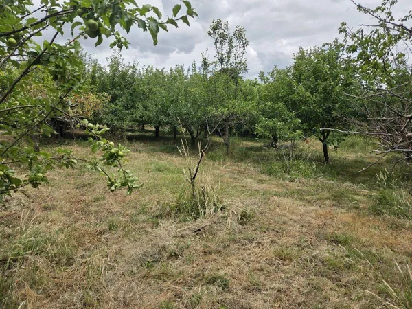 Terrain constructible 950 m²