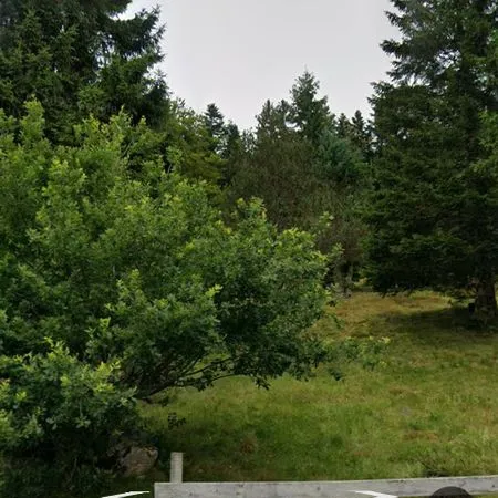 Terrain nu constructible
