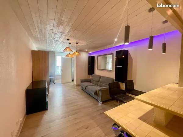 Très beau studio rénové en centre-ville