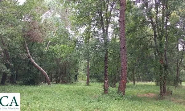 Terrain 1484 m²