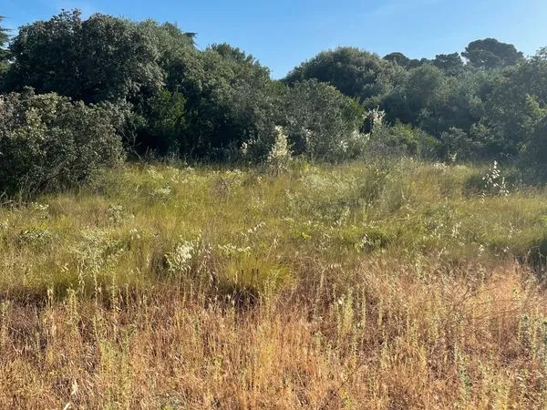 Terrain 1000 m2 Cap d'Agde