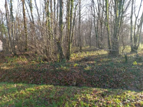 Terrain à vendre de 2 370,00 m² SAINT HILAIRE LES ANDRESIS (45)