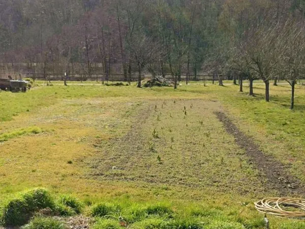 Grand terrain potager de 850 m² à Double accès
