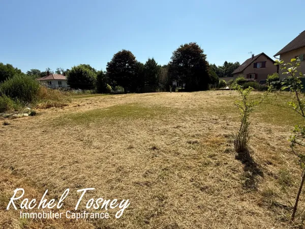 Terrain 1039 m²