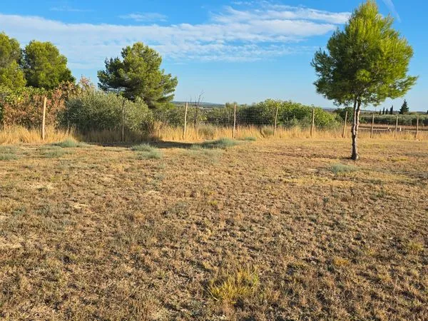Terrain agricole avec eau