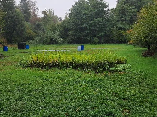 Terrain de 3000m2
