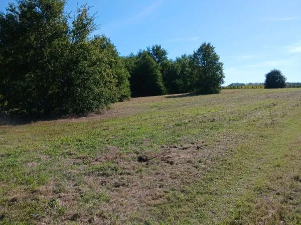 Parcelle terrain
