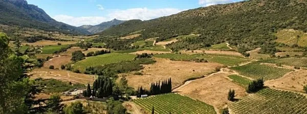 Terrain 584 m²
