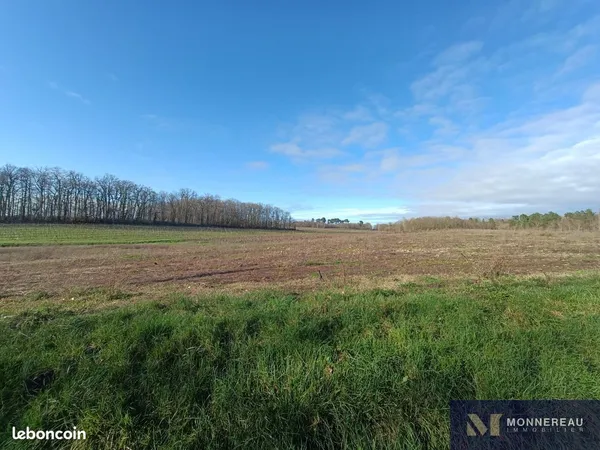 Terrain 3179 m² Saint-Maigrin