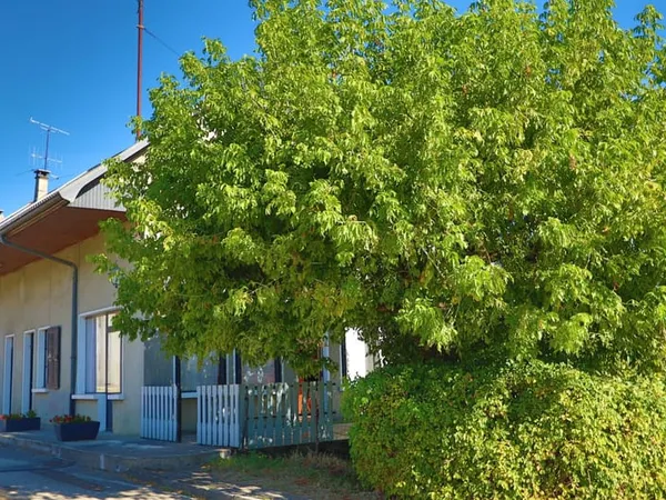 Maison à rénover à Mésigny : beaux volumes, et fort potentie