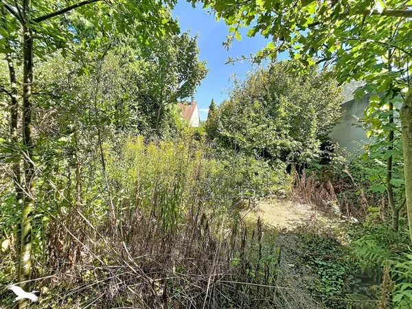 Terrain 319 m²