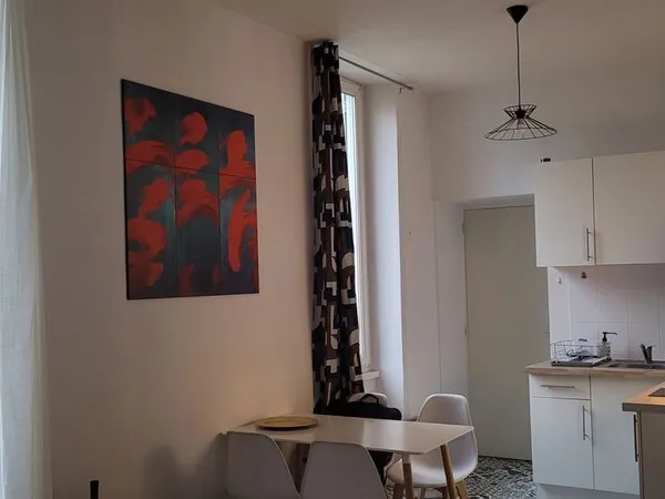 Bel appartement hypercentre lumineux
