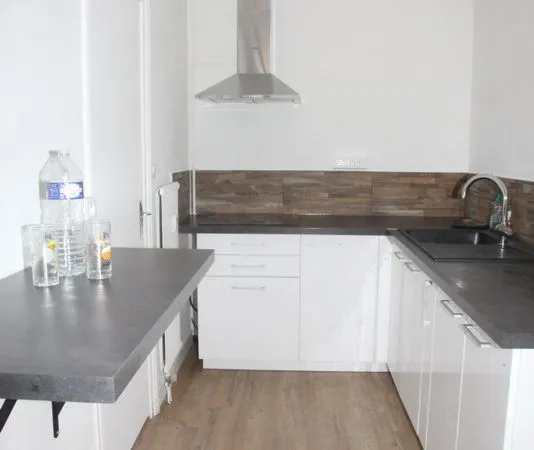 Appartement Location Saint-Étienne 2p 42m² 550€