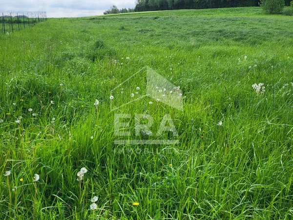 Terrain Beaurainville 1268 m2