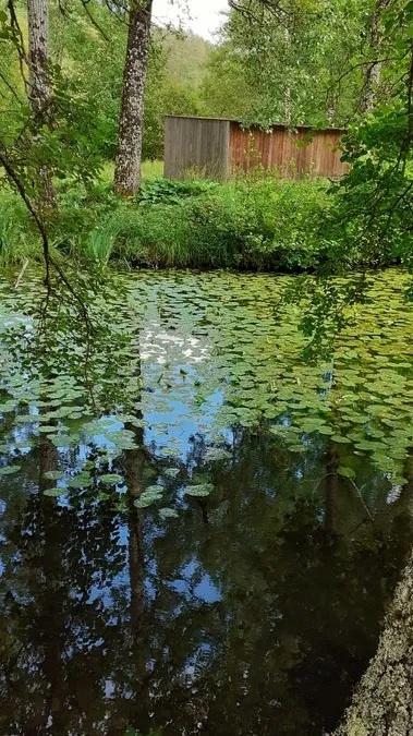 Photo 13