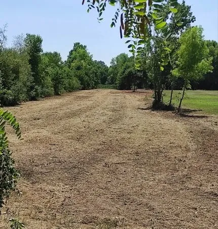 Terrain agricole