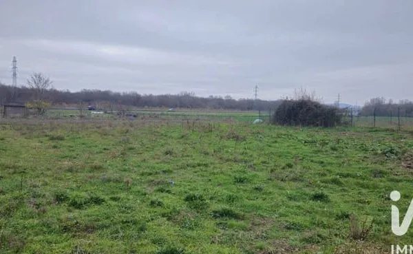 Terrain 49890 m²