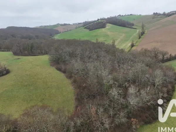 Terrain 99131 m²