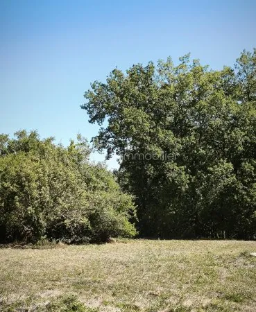 Terrain 1434 m²