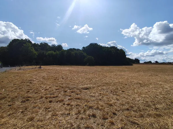 Terrain à bâtir