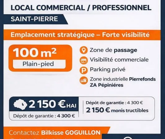 A LOUER LOCAL PLAIN PIED - PROFESSIONNEL OU COMMERCIAL