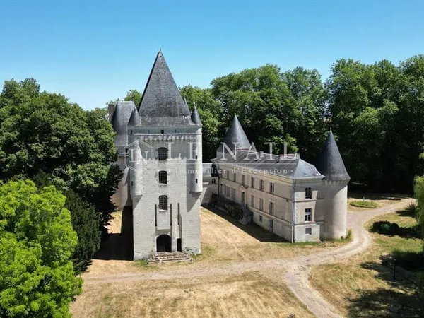 Monumental ensemble castral en Berry, proche d'un sanctuaire ren