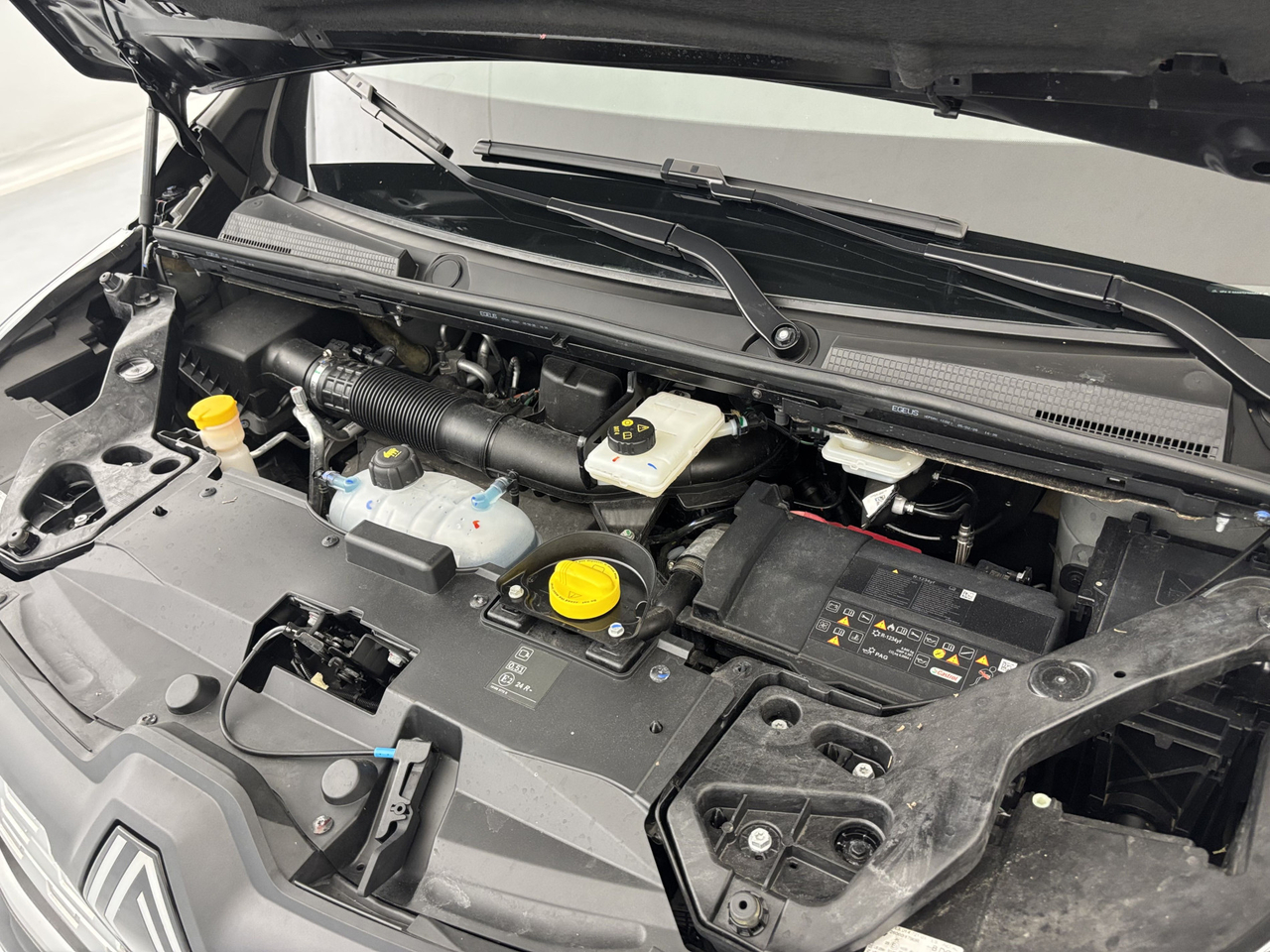Renault Trafic Combi — photo 26