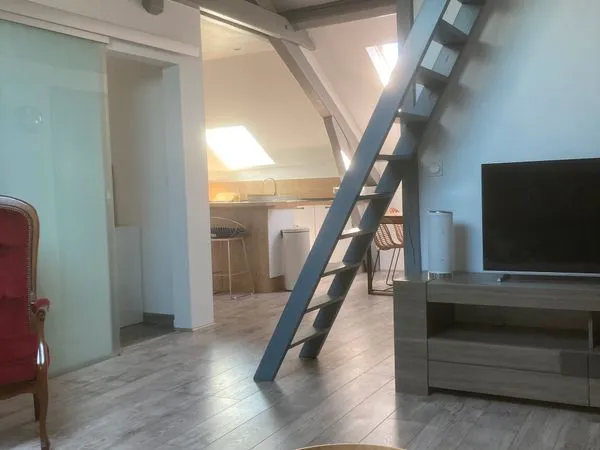 Appartement meublé avec mezzanine - Charme et confort à Épinal
