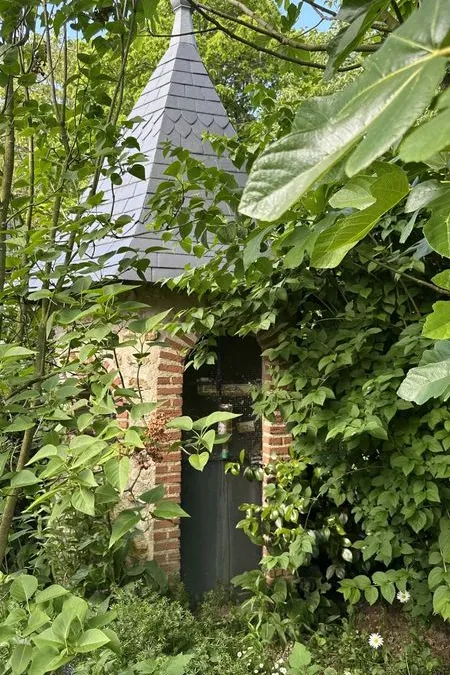 Photo 5
