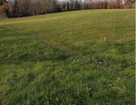Terrain pour animaux