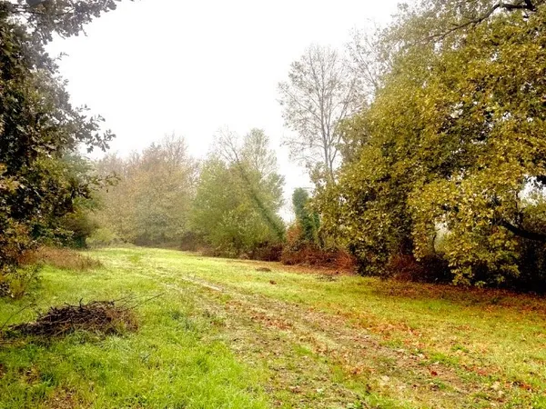 Terrain 900 m²