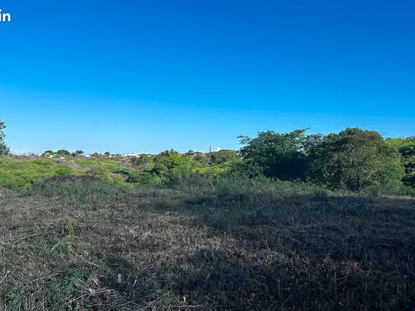 Terrain plat constructible a gissac sainte anne