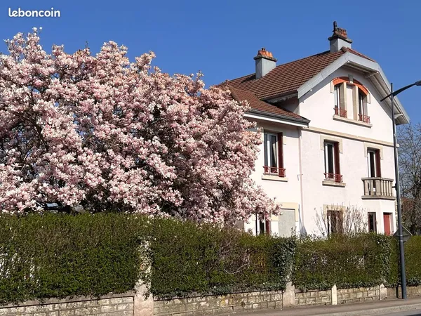 Maison bourgeoise de caractère - jardin paysager - dépendance - golbey limite epinal