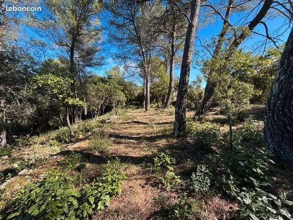 Terrain 700 m² Saint Maximin La Sainte Baume