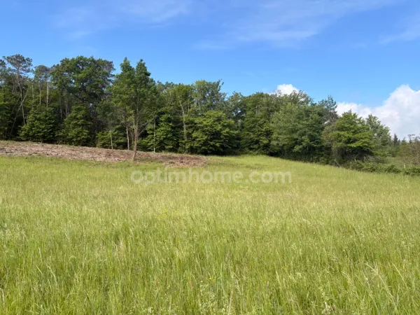 Terrain 2642 m²